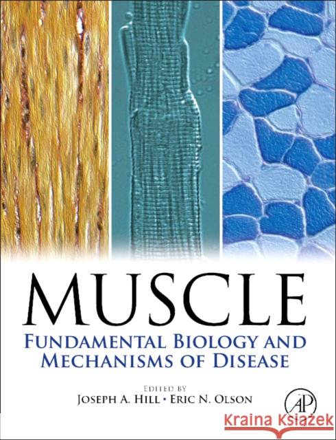 Muscle 2-Volume Set : Fundamental Biology and Mechanisms of Disease Joseph Hill 9780123815101 ACADEMIC PRESS - książka