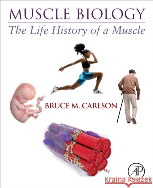 Muscle Biology: The Life History of a Muscle Bruce M. Carlson 9780128202784 Academic Press - książka