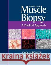Muscle Biopsy : A Practical Approach Victor Dubowitz Caroline A. Sewry 9781416025931 W.B. Saunders Company - książka