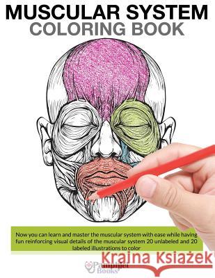 Muscular System Coloring Book Pamphlet Books 9781683050520 Speedy Publishing Books - książka