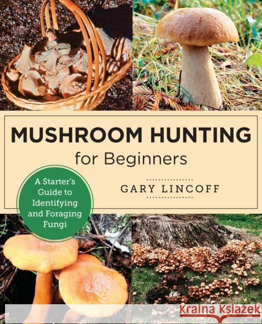 Mushroom Hunting for Beginners: A Starter's Guide to Identifying and Foraging Fungi Gary Lincoff 9780760383926 New Shoe Press - książka