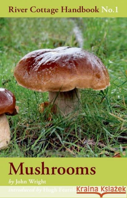 Mushrooms John Wright 9780747589327 Bloomsbury Publishing PLC - książka