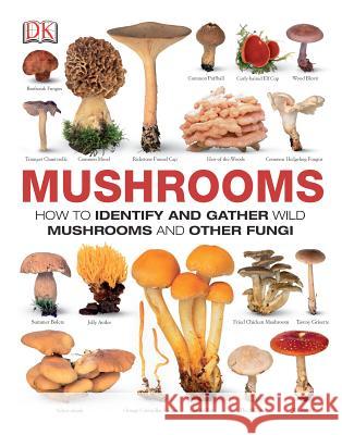 Mushrooms: How to Identify and Gather Wild Mushrooms and Other Fungi DK 9781465408556 DK Publishing (Dorling Kindersley) - książka