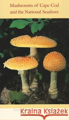 Mushrooms of Cape Cod and the National Seashore Arleen Raines Bessette Alan E. Bessette William J. Neill 9780815606871 Syracuse University Press - książka