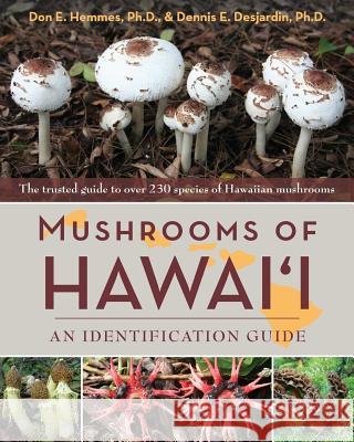 Mushrooms of Hawai'i: An Identification Guide Don Hemmes Dennis E. Desjarding 9781626541825 Echo Point Books & Media - książka