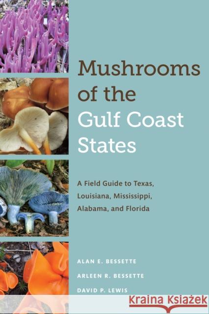 Mushrooms of the Gulf Coast States: A Field Guide to Texas, Louisiana, Mississippi, Alabama, and Florida Alan E. Bessette Arleen F. Bessette David P. Lewis 9781477318157 University of Texas Press - książka