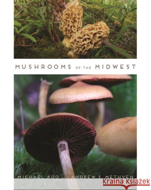 Mushrooms of the Midwest Michael Kuo Andrew S. Methven 9780252079764 University of Illinois Press - książka