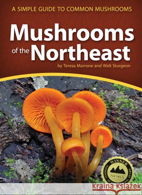 Mushrooms of the Northeast: A Simple Guide to Common Mushrooms Teresa Marrone Walt Sturgeon 9781591935919 Adventure Publications(MN) - książka