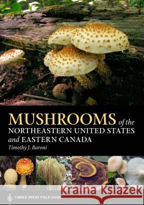 Mushrooms of the Northeastern United States and Eastern Canada Timothy J. Baroni 9781604696349 Timber Press (OR) - książka