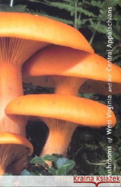 Mushrooms of West Virginia and the Central Appalachians William C. Roody 9780813190396 University Press of Kentucky - książka