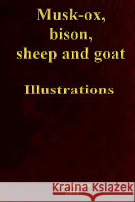 Musk-ox, bison, sheep and goat Illustrations Adrian, Iacob 9781495327957 Createspace - książka