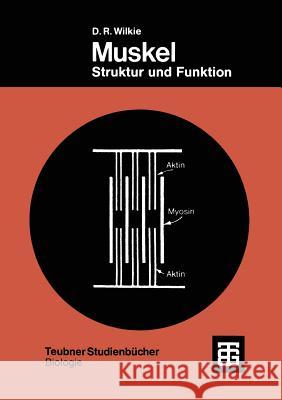 Muskel: Struktur Und Funktion Douglas Robert Wilkie 9783519036111 Vieweg+teubner Verlag - książka