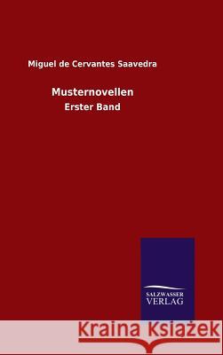 Musternovellen Miguel De Cervante 9783846072806 Salzwasser-Verlag Gmbh - książka