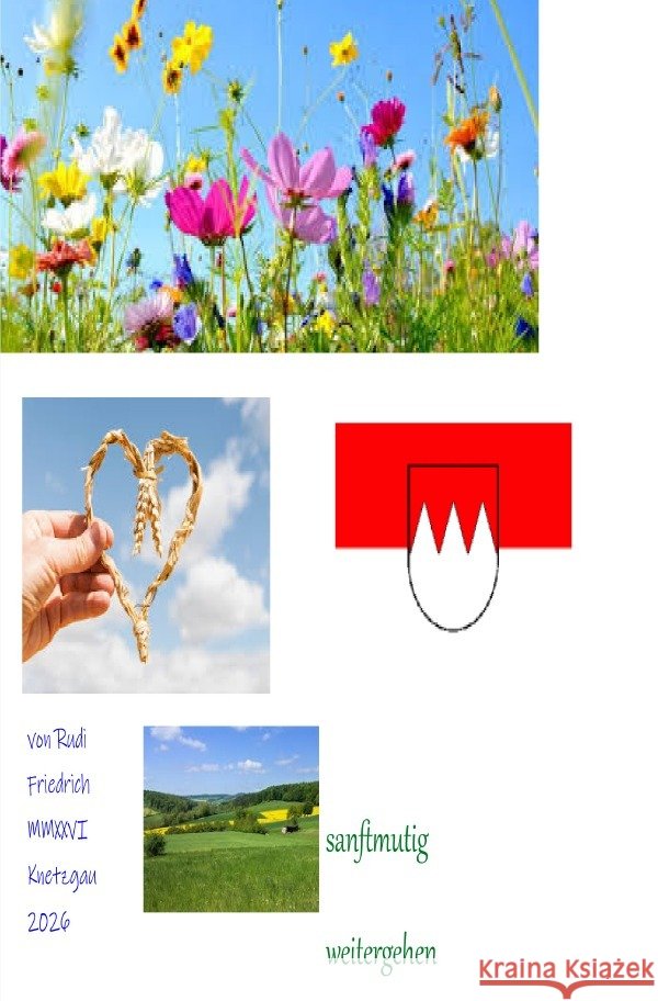 Mutig weitergehen Rodhulf, Rik, Rieteriki, Wolf, Friedrich, Rudi 9783565283101 epubli - książka