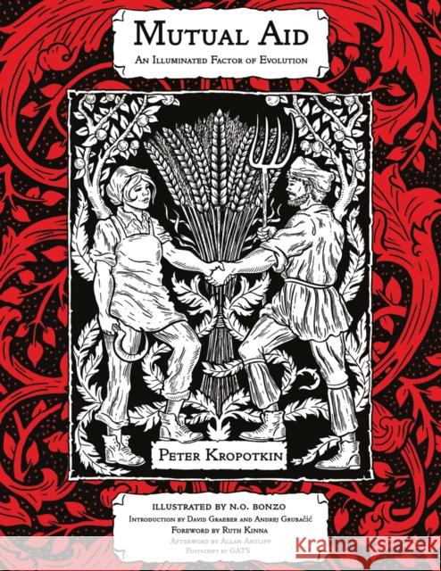 Mutual Aid: An Illuminated Factor of Evolution Peter Kropotkin N. O. Bonzo David Graeber 9781629638744 PM Press - książka