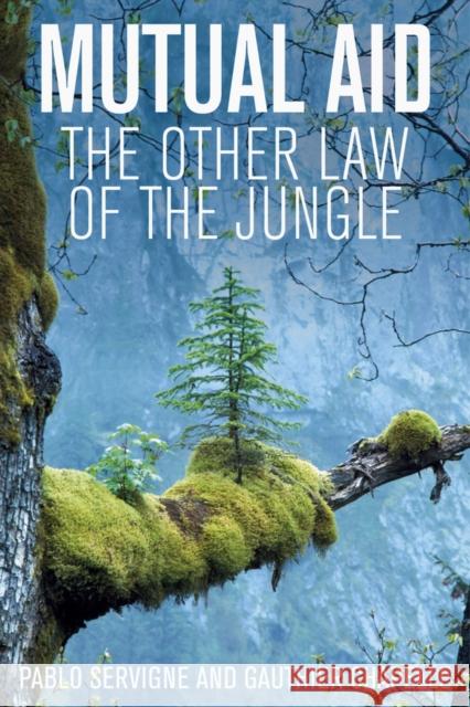 Mutual Aid: The Other Law of the Jungle Andrew Brown Gauthier Chapelle Pablo Servigne 9781509547913 Polity Press - książka