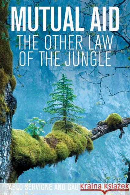 Mutual Aid: The Other Law of the Jungle Andrew Brown Gauthier Chapelle Pablo Servigne 9781509547920 Polity Press - książka