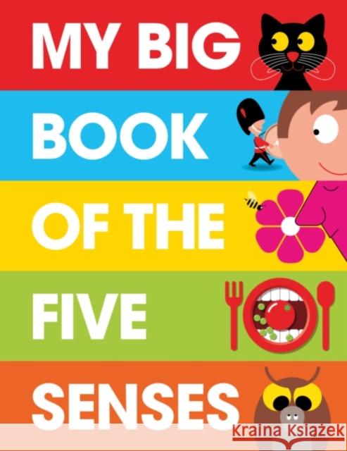 My Big Book of the Five Senses   9781908473110 PatrickGeorge - książka