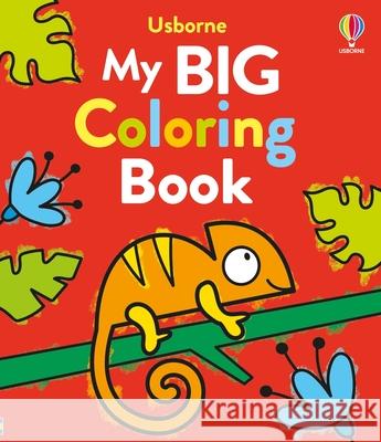 My Big Coloring Book Kate Nolan Jenny Addison 9781805075011 Usborne Books - książka