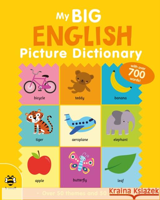 My Big English Picture Dictionary Vicky Barker 9781913918293 b small publishing limited - książka