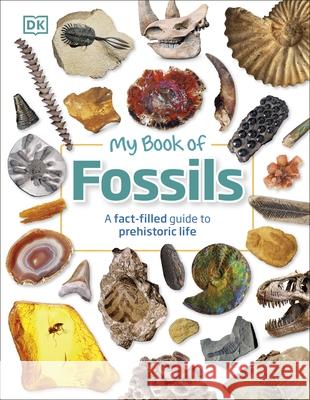 My Book of Fossils: A fact-filled guide to prehistoric life Dean R. Lomax 9780241533369 Dorling Kindersley Ltd - książka
