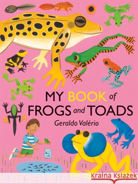 My Book of Frogs and Toads Geraldo Valerio 9781773069210 Groundwood Books - książka
