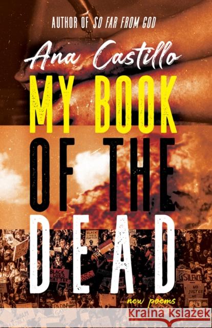 My Book of the Dead: New Poems Ana Castillo 9780826363190 High Road Books - książka