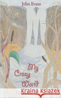 My Crazy World: Collected Poems John Evans 9781535273268 Createspace Independent Publishing Platform - książka