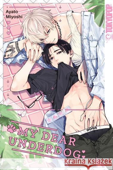 My Dear Underdog Miyoshi, Ayato 9783759315632 Tokyopop - książka