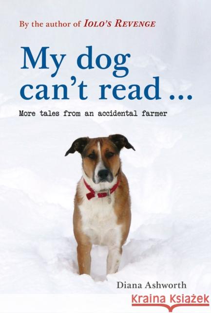 My dog can't read ...: More tales from an accidental farmer Diana Ashworth 9781910839829 Fircone Books Ltd - książka