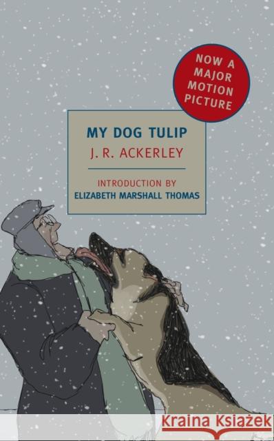 My Dog Tulip J.R. Ackerley 9781590174142 The New York Review of Books, Inc - książka