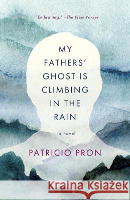 My Fathers' Ghost Is Climbing in the Rain Patricio Pron Mara Faye Lethem 9780307745422 Vintage Books - książka