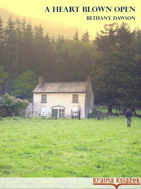 My Father's House Bethany Dawson 9781907593604  - książka