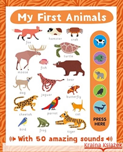 My First Animals Autumn Publishing 9781837712984 Bonnier Books Ltd - książka