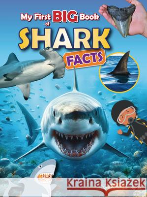 My First Big Book of Shark Facts Belinda Gallagher 9781788565134 Ruby Tuesday Books - książka