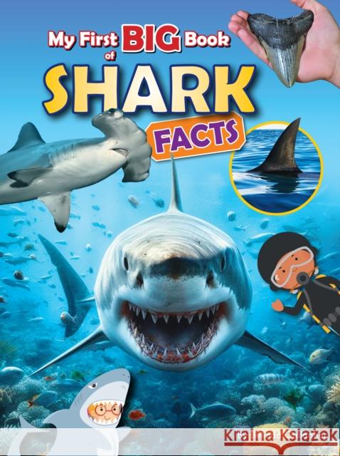 My First BIG book of SHARK Facts Belinda Gallagher 9781788565837 Ruby Tuesday Books Ltd - książka