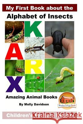 My First Book about the Alphabet of Insects - Amazing Animal Books - Children's Picture Books Molly Davidson John Davidson Mendon Cottage Books 9781530762668 Createspace Independent Publishing Platform - książka