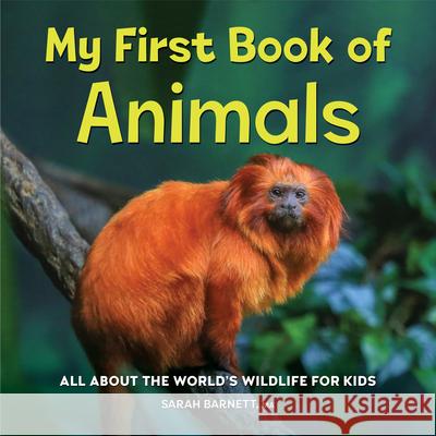 My First Book of Animals: All about the World\'s Wildlife for Kids Sarah Barnett 9781685395551 Rockridge Press - książka