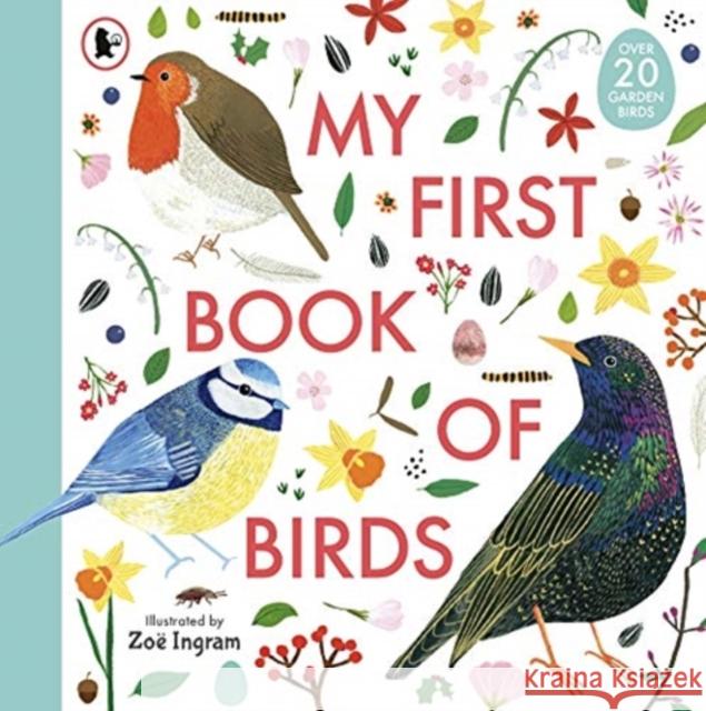 My First Book of Birds  9781406394184 Walker Books Ltd - książka