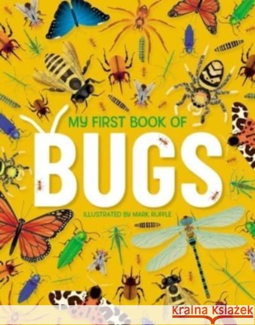 My First Book of Bugs Emily Kington 9781915461162 Hungry Tomato Ltd - książka