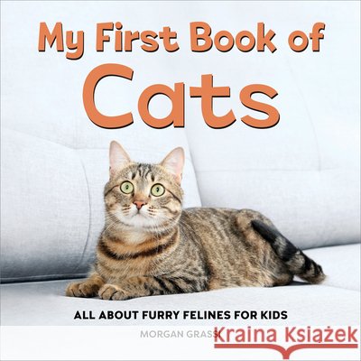 My First Book of Cats: All about Furry Felines for Kids Grassi, Morgan 9798886508208 Callisto Kids - książka