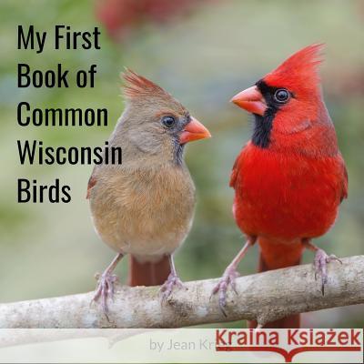 My First Book of Common Wisconsin Birds Jean Krieg 9781976394683 Createspace Independent Publishing Platform - książka