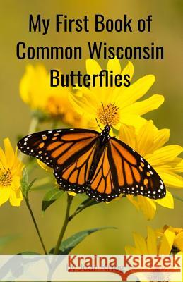 My First Book of Common Wisconsin Butterflies Jean Krieg 9781727314946 Createspace Independent Publishing Platform - książka