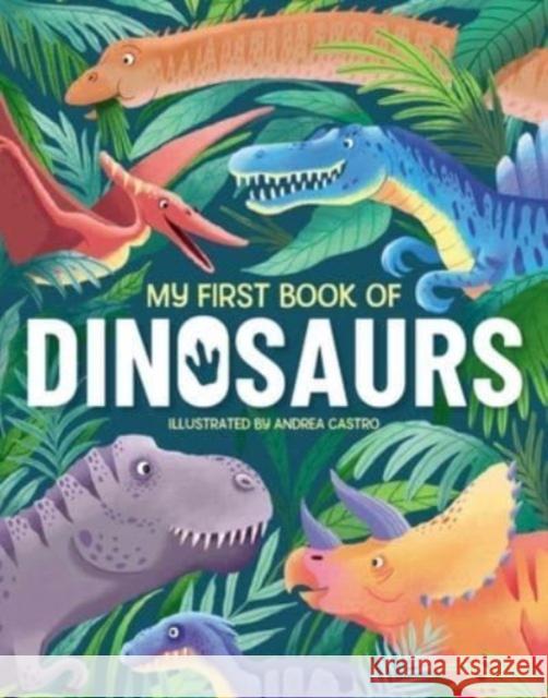 My First Book Of Dinosaurs Emily Kington 9781915461155 Hungry Tomato Ltd - książka