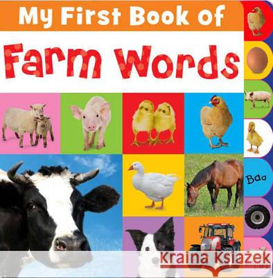 My First Book Of Farm Words Joanna Bicknell 9781780653075 Make Believe Ideas - książka