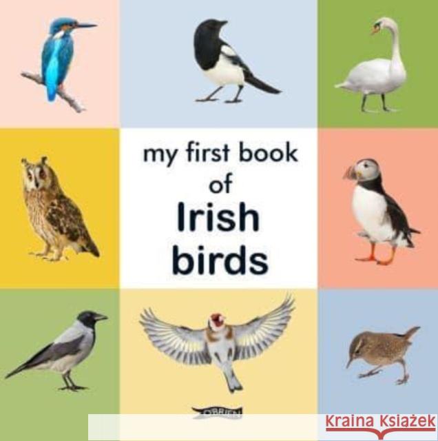 My First Book of Irish Birds  9781788494816 O'Brien Press Ltd - książka