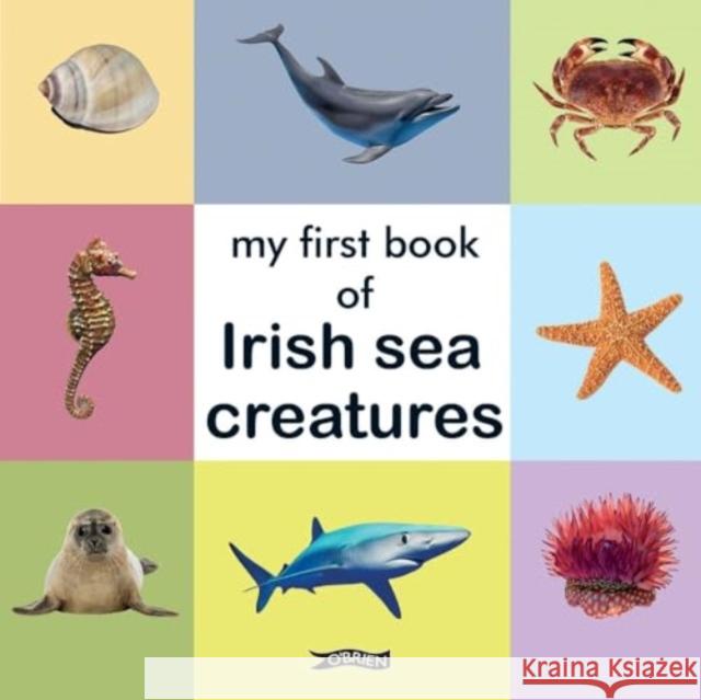 My First Book of Irish Sea Creatures  9781788495349 O'Brien Press Ltd - książka