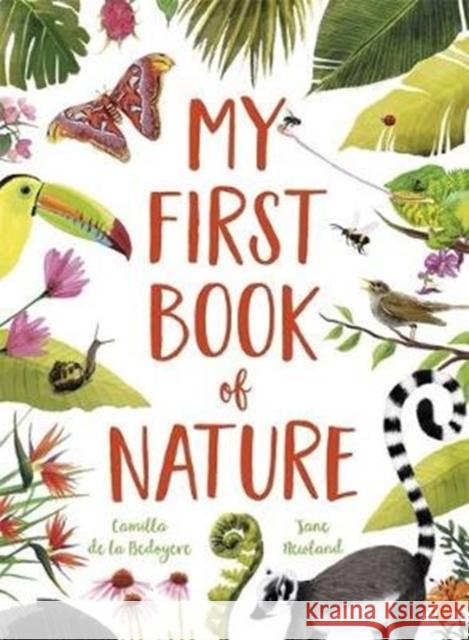 My First Book of Nature: With 4 sections and wipe-clean spotting cards Camilla De La Bedoyere 9781787417144 Templar Publishing - książka