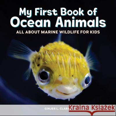 My First Book of Ocean Animals: All about Marine Wildlife for Kids Ginjer Clarke 9781648767951 Rockridge Press - książka