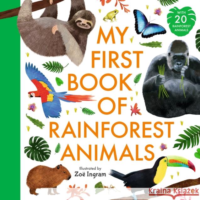 My First Book of Rainforest Animals Zoe Ingram 9781529522181 Walker Books Ltd - książka